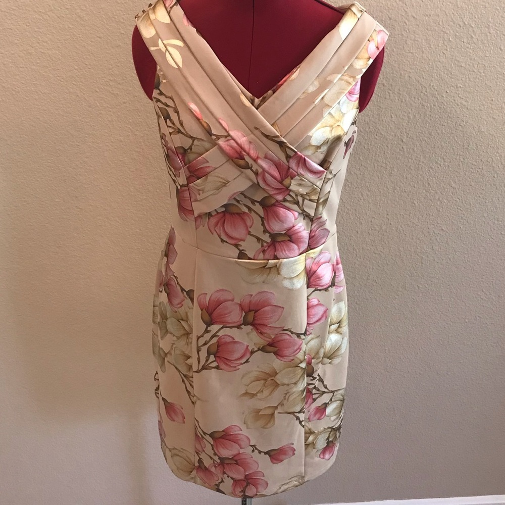 Alexa B Nites | Floral Sleeveless Petite Dress NWT